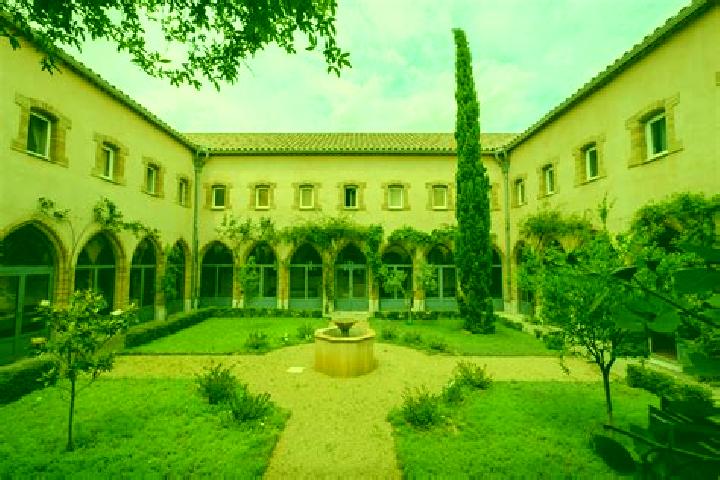 escort Cavriglia-Monastero