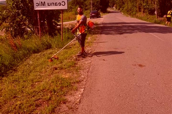 escort Ceanu Mic