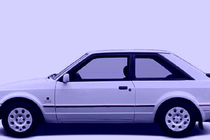 escort Cedillo