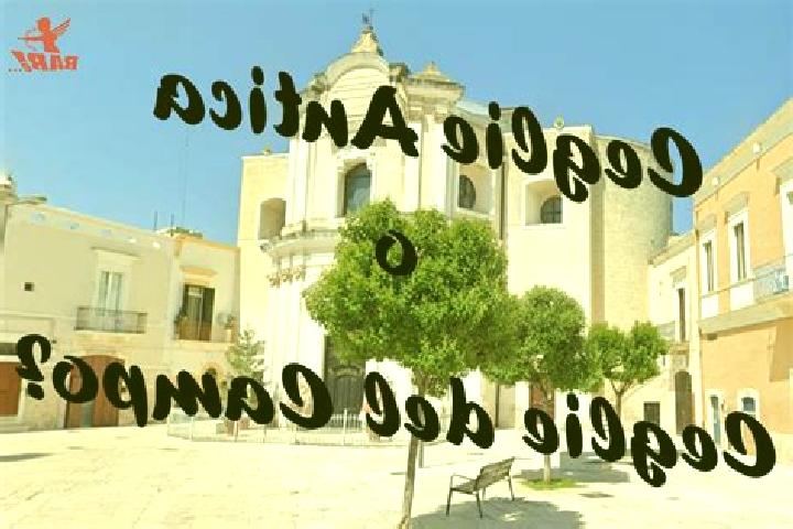 escort Ceglie del Campo