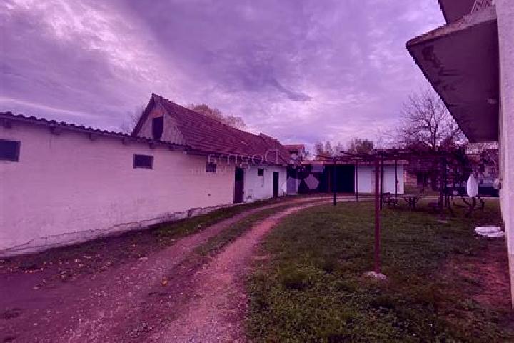 escort Cemernica