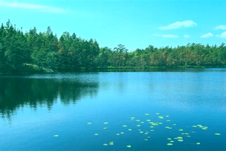 escort Central Lake