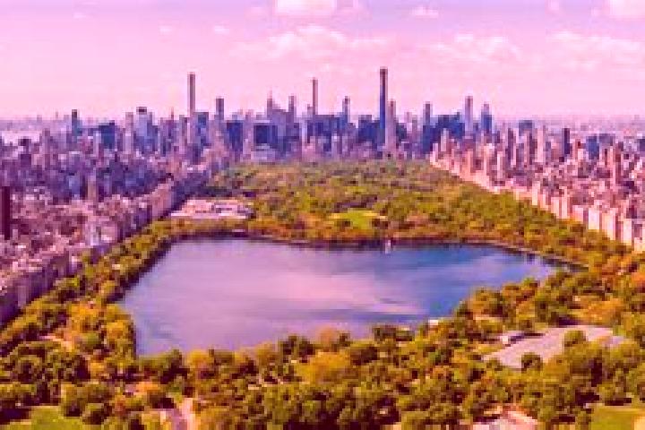 escort Central Park