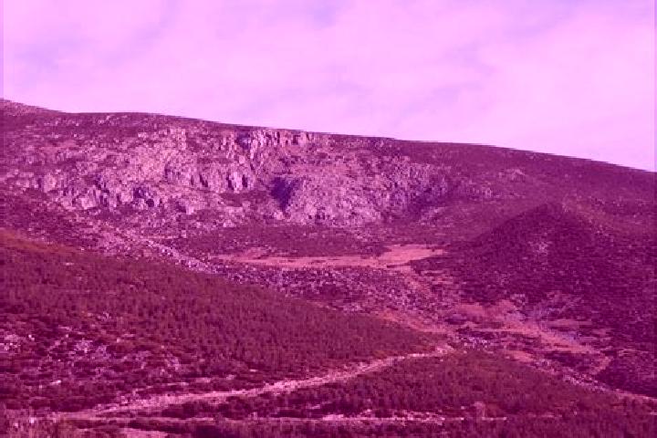 escort Cepeda la Mora