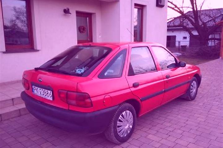 escort Cepni