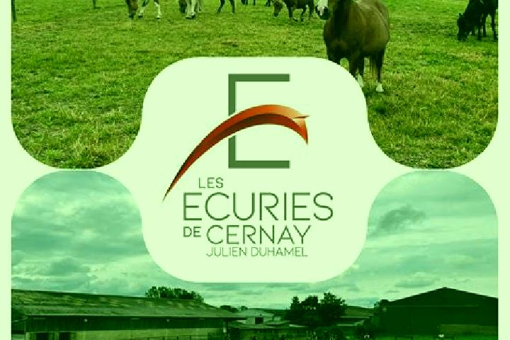escort Cernay-les-Reims