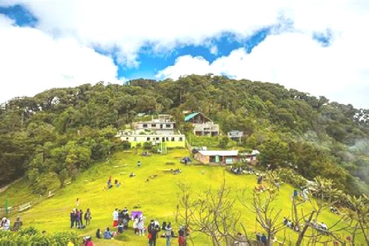 escort Cerro Alto