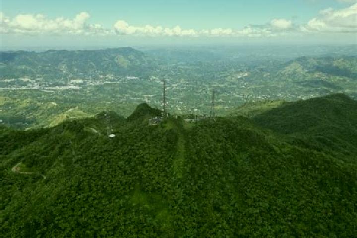 escort Cerro Punta