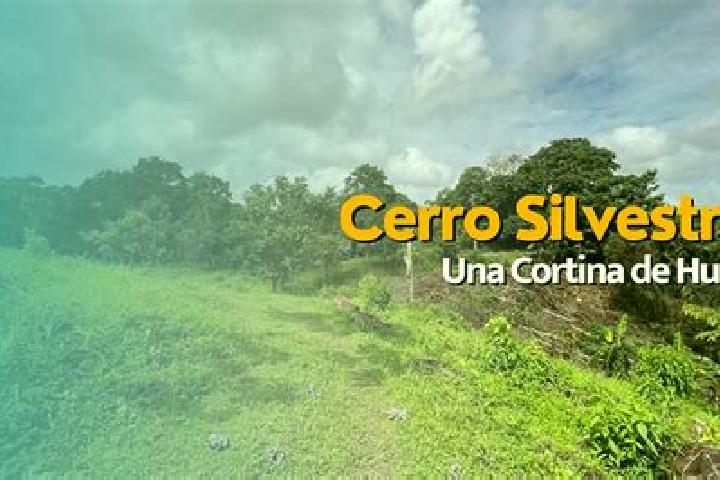 escort Cerro Silvestre