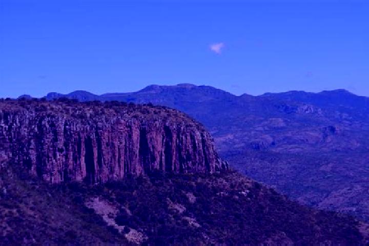escort Cerro Venado