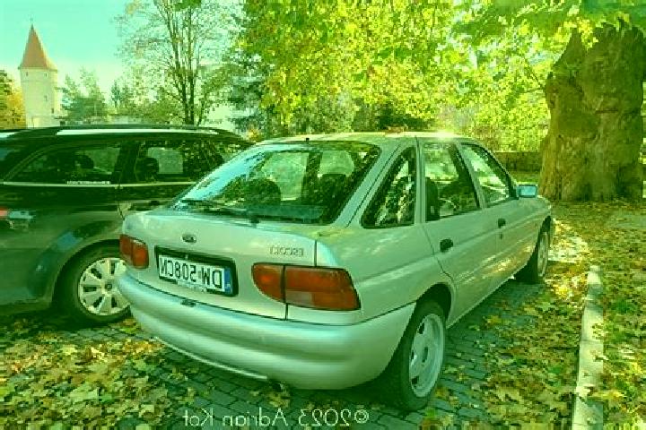 escort Cervo