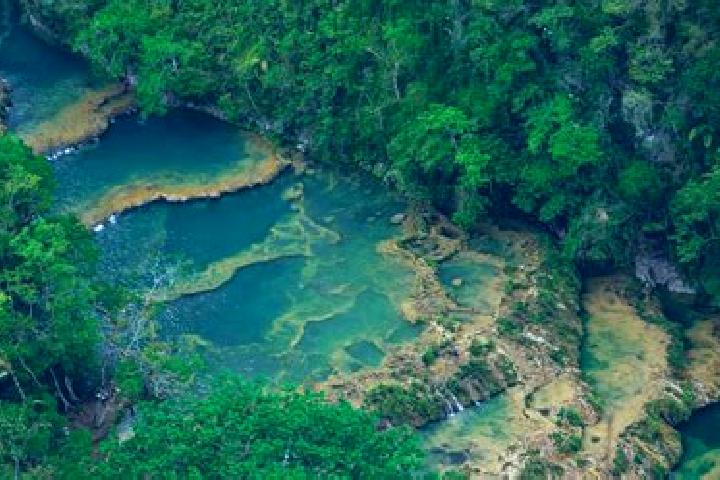 escort Champey