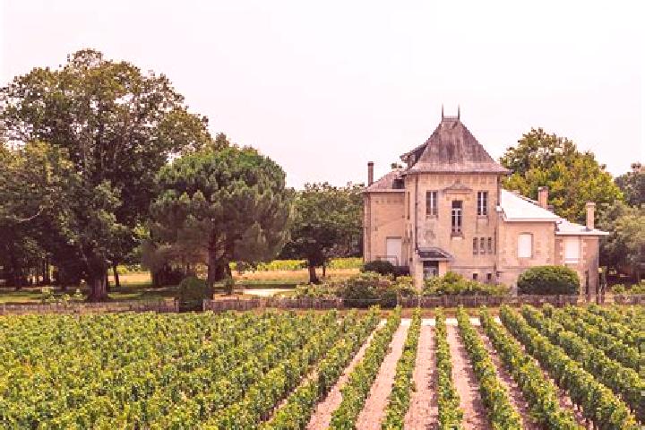 escort Chateau-Salins