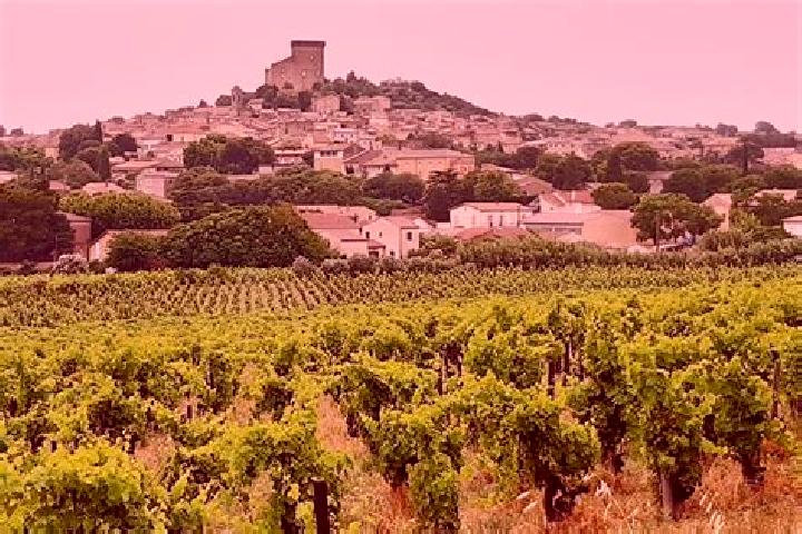 escort Chateauneuf-du-Rhone