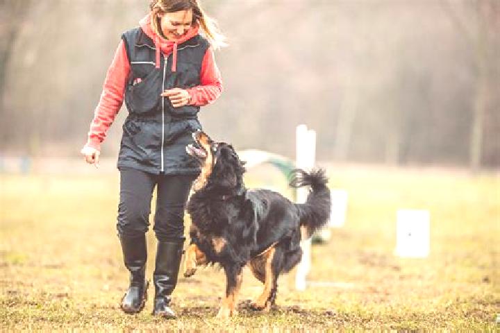 escort Chatel-Saint-Germain