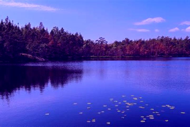 escort Cheat Lake