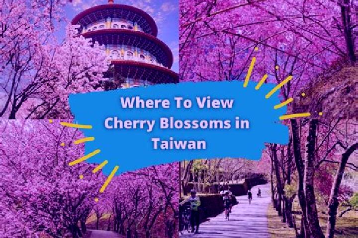escort Cherry Gardens