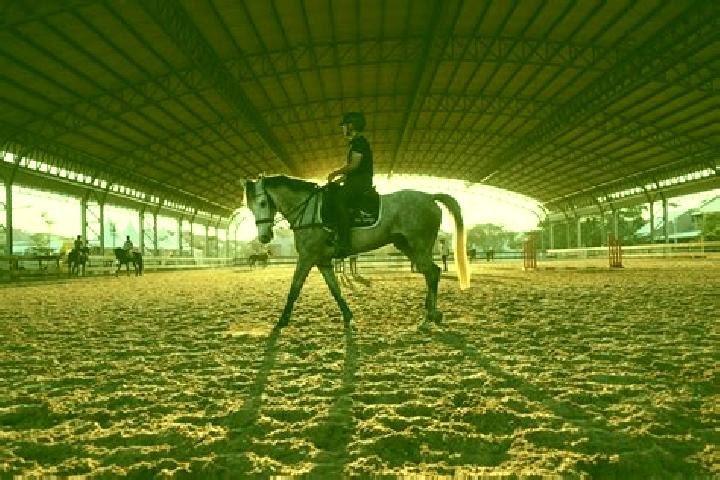 escort Cheval