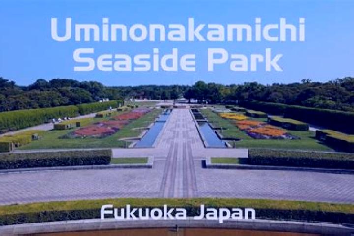 escort Chikushino-shi