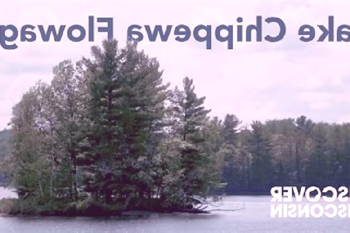 escort Chippewa Lake