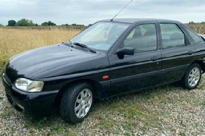 escort Chipping Ongar