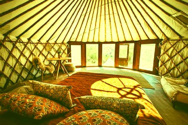 escort Chiri-Yurt