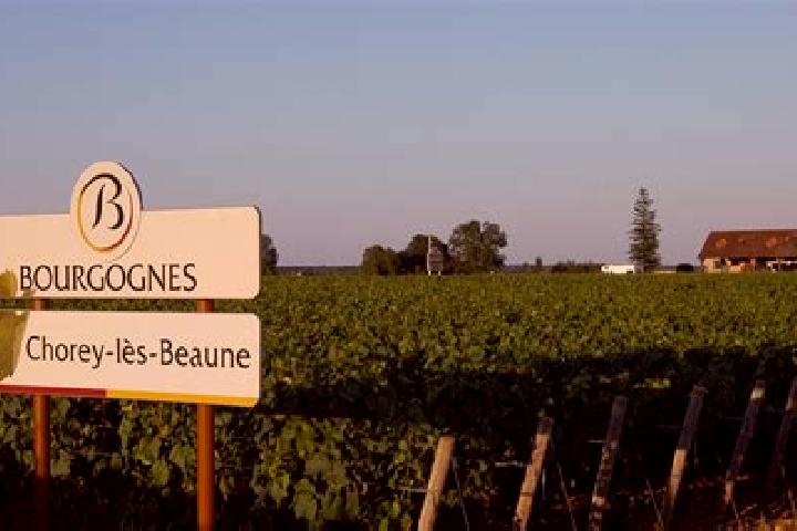 escort Chorey-les-Beaune