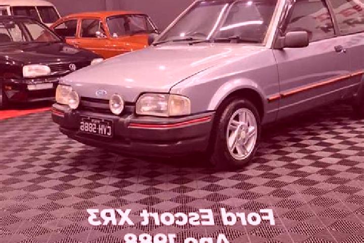 escort Cidade Nova