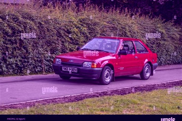 escort Cincu