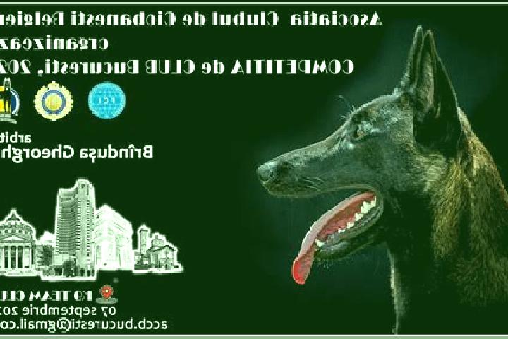 escort Ciobanesti
