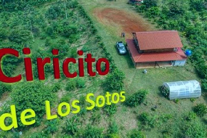 escort Ciricito de Los Sotos