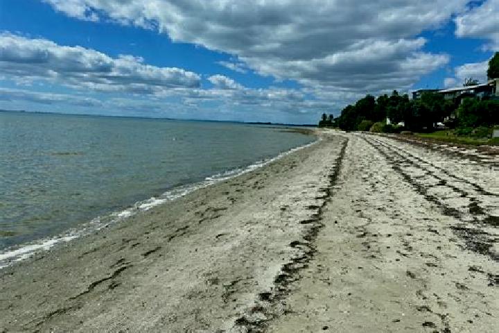 escort Clarks Beach