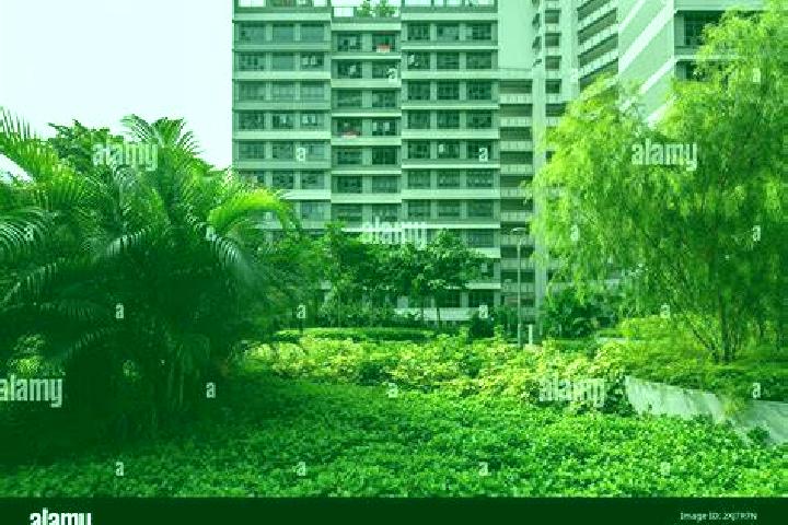 escort Clementi Housing Estate