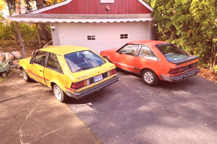 escort Clendenin