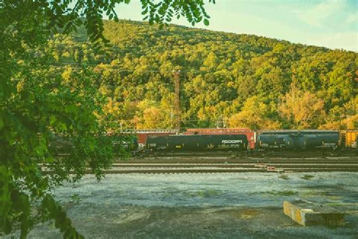 escort Clifton Forge