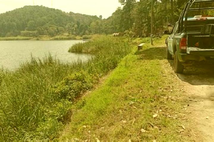 escort Coapilla