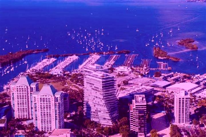 escort Coconut Grove