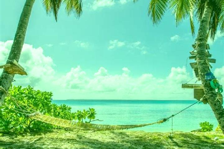 escort Cocos Islands