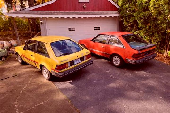 escort Codisotto