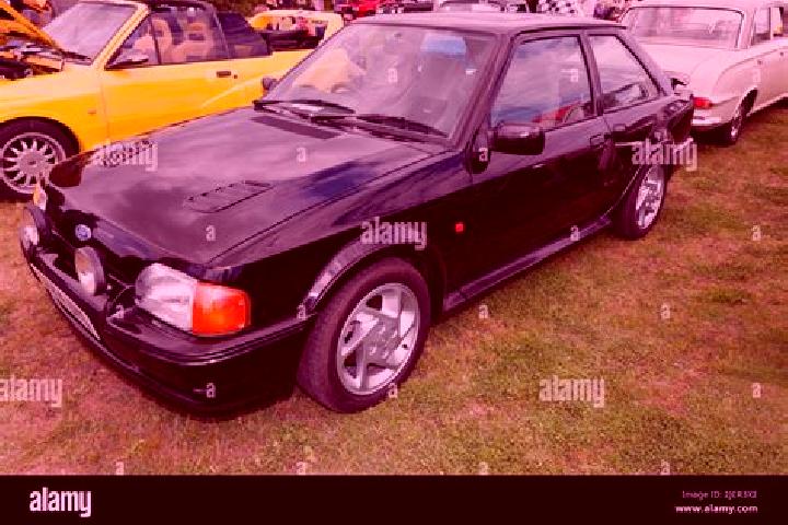 escort Codroipo