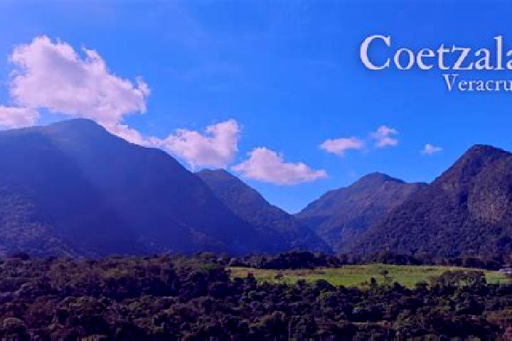 escort Coetzala