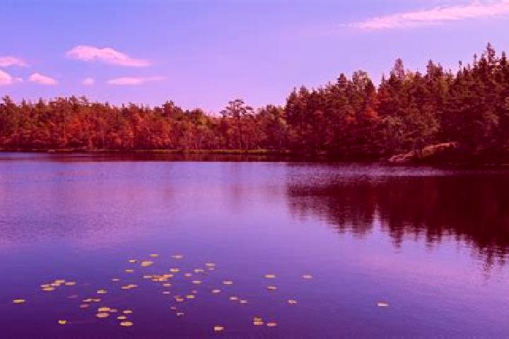 escort Cold Lake