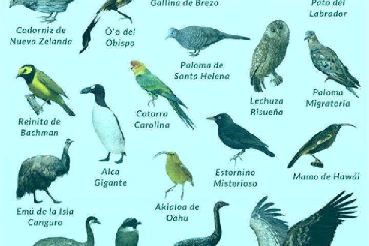 escort Colina de los Pajaros