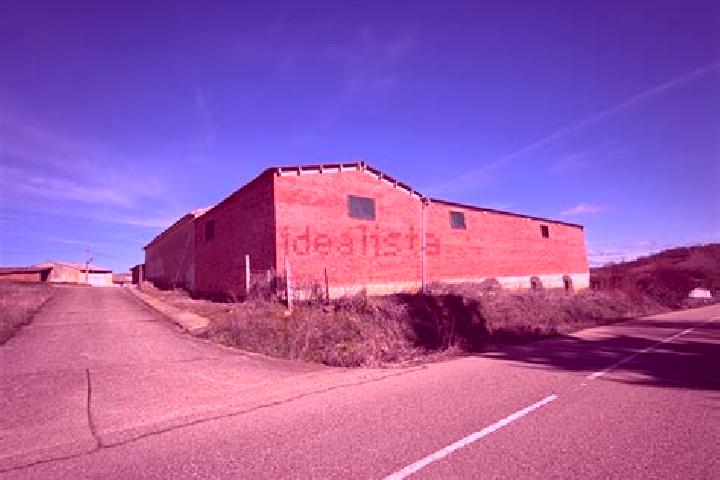 escort Collazos de Boedo