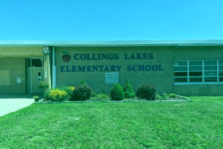 escort Collings Lakes