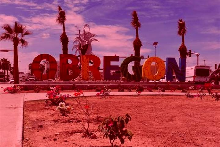 escort Colonia Agricola Alvaro Obregon