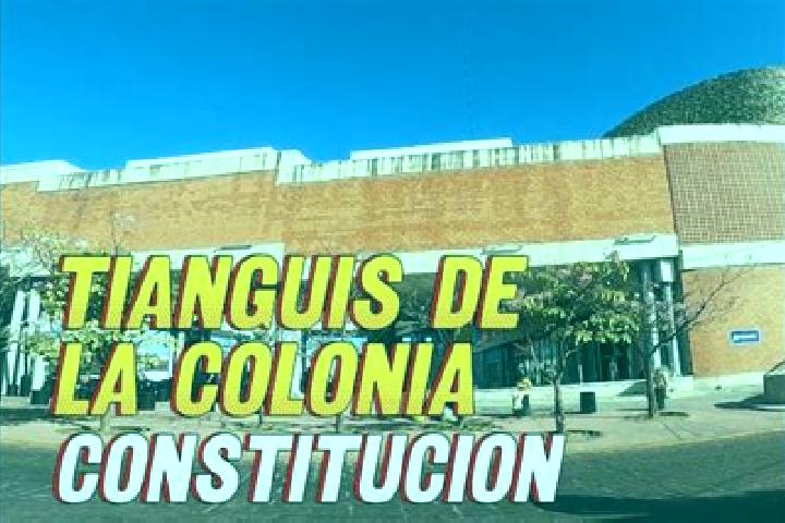 escort Colonia Constitucion