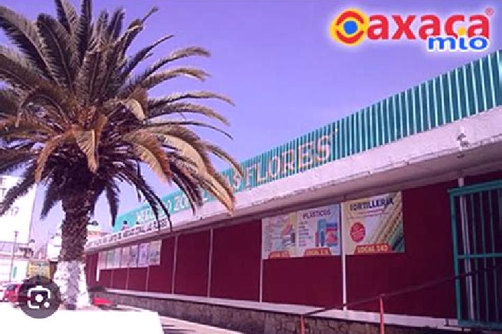 escort Colonia las Flores