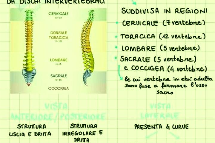 escort Colonna
