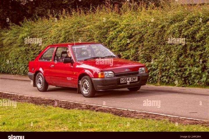 escort Coloso
